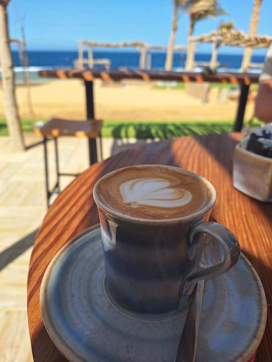 Gastro Steigenberger Resort Alaya Marsa Alam - Red Sea - Adults only