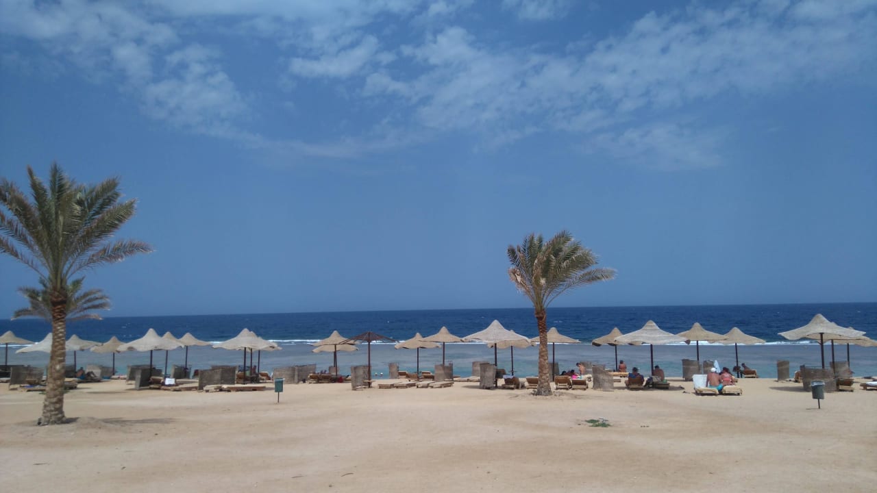 W drodze do delfinów Three Corners Sea Beach Resort