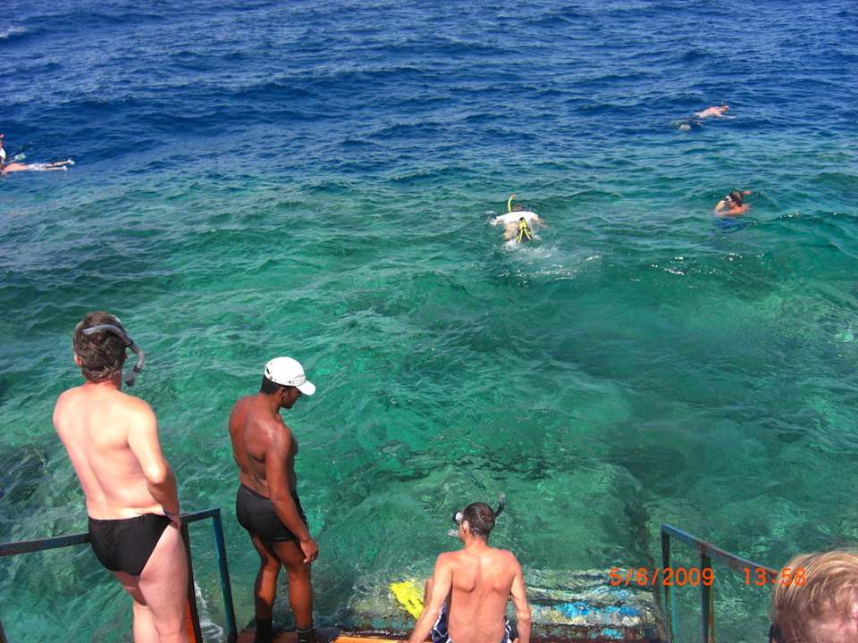 Schnorcheln Pickalbatros Royal Moderna Resort-Sharm El Sheikh