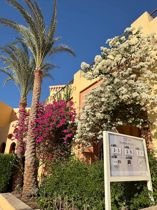 Gartenanlage Steigenberger Coraya Beach - Adults only