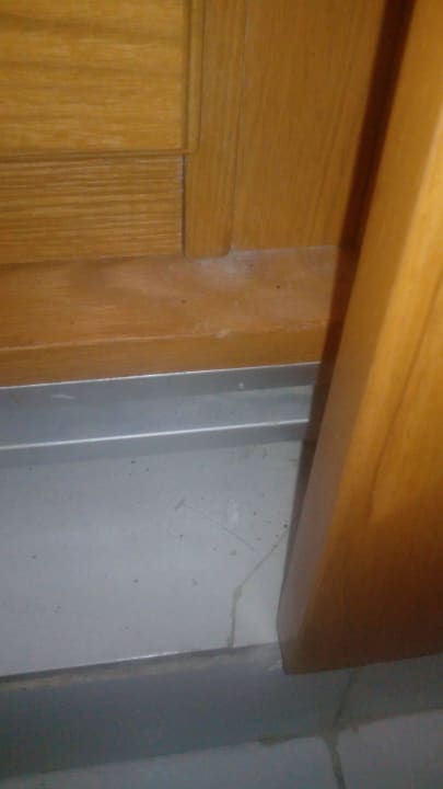 Nach Zimmerreinigung Desert Rose