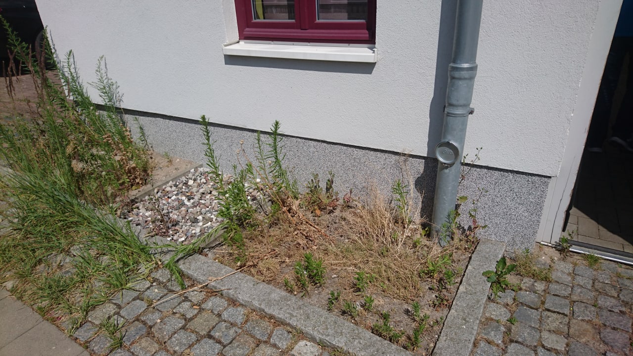 Außenansicht Ferienzimmer Zum Niklas