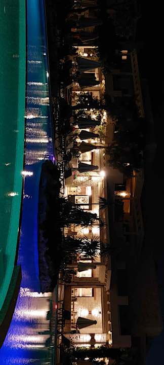 Pool Cactus Royal