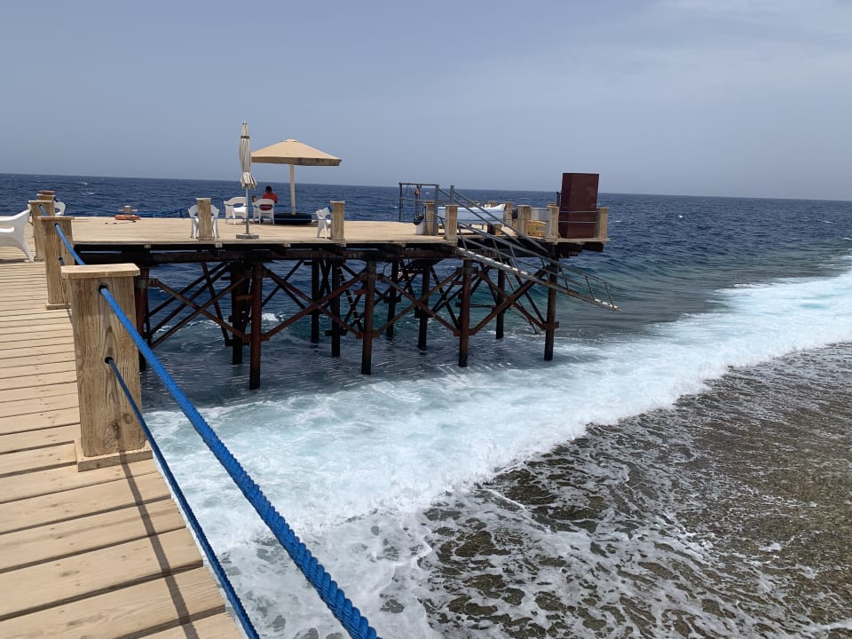 Strand Pickalbatros Sea World Resort - Marsa Alam