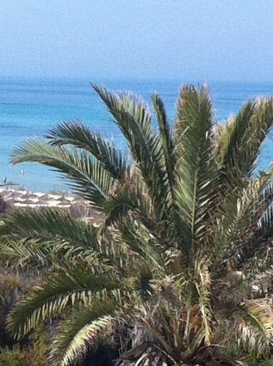 Aus dem Zimmer   Hotel Marhaba Beach