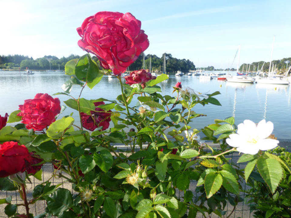Ausblick aus dem Hotelgarten Best Western Hotel Le Roof Vannes