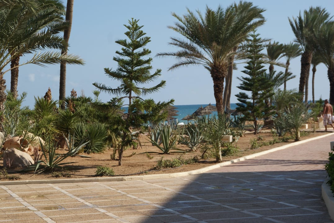 Gepflegter Garten Zephir Hotel & Spa