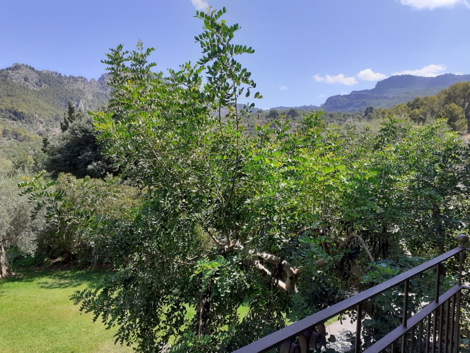 Ausblick Hotel Es Port