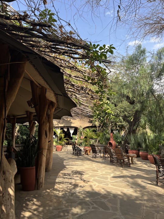 Gastro Kibo Safari Camp