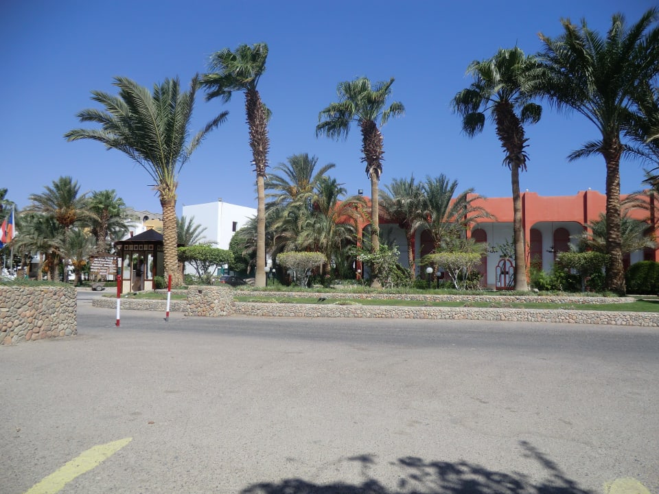 Vor dem Hotel Arabia Azur Resort