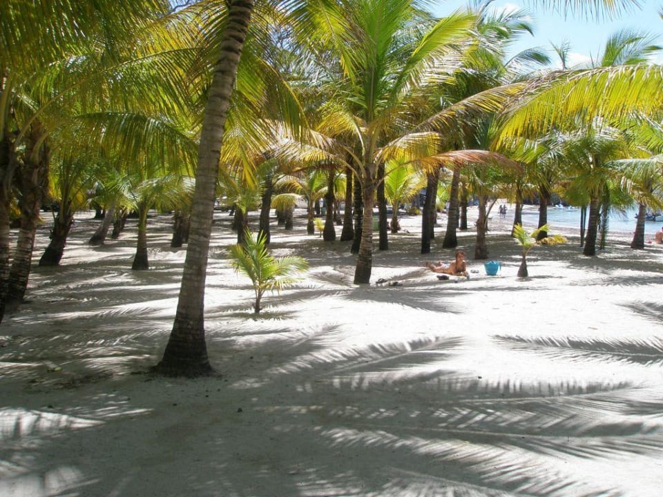 ...am Strand (Sportstrand) Senator Puerto Plata Hotel