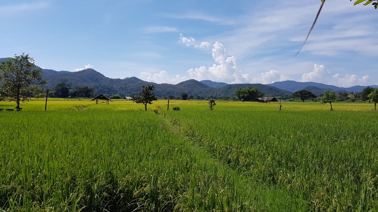 Ausblick Kalm Pai Resort