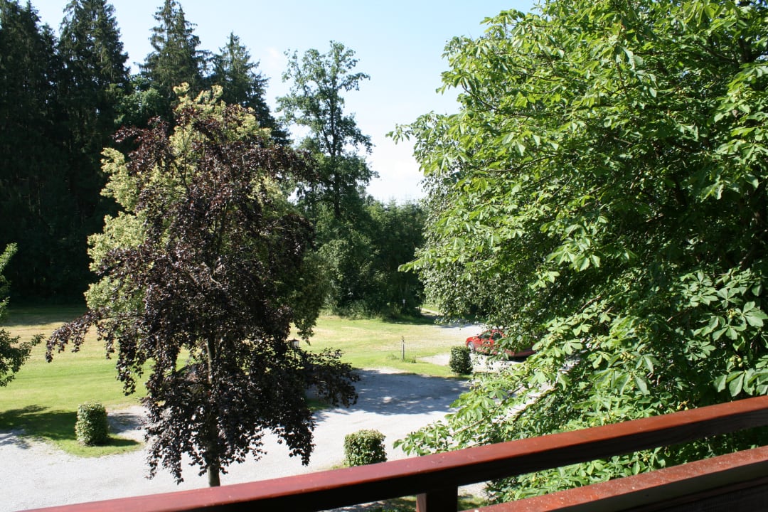 Ausblick Waldpension Jägerstüberl