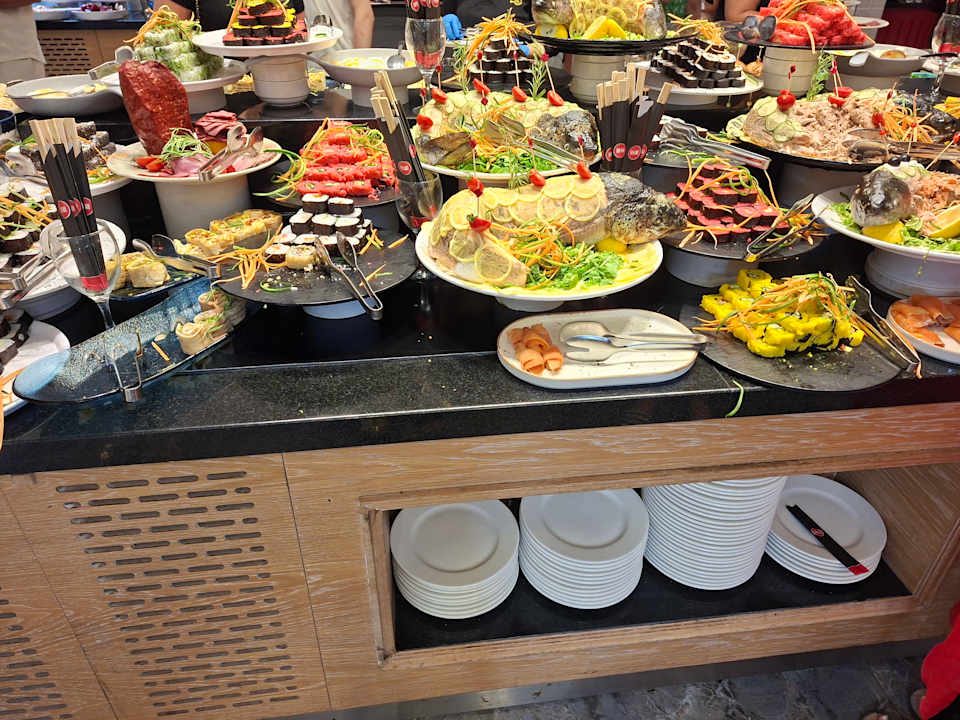 Gastro Seashell Vega