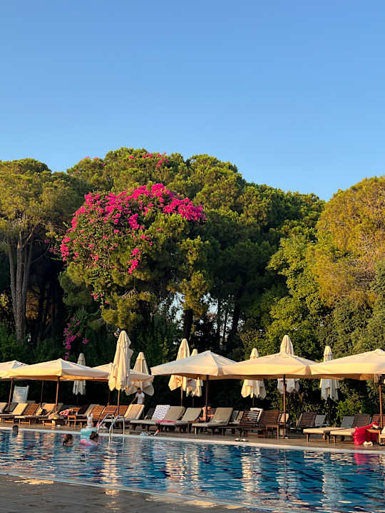 Pool Ali Bey Resort Sorgun