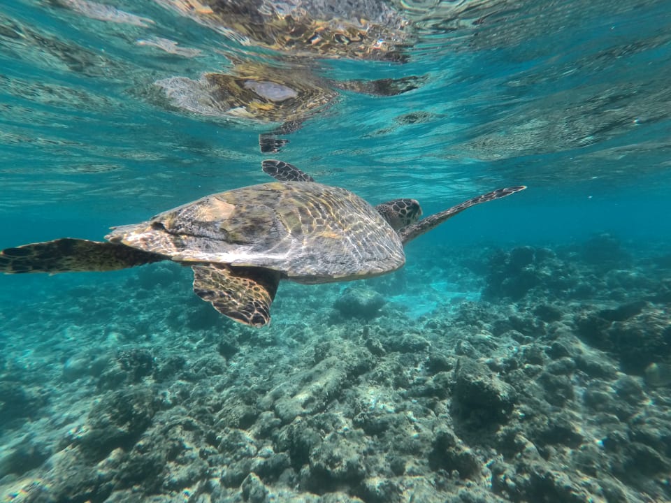 Sonstiges Summer Island Maldives
