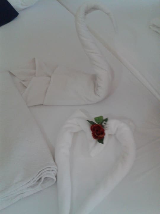 Nearly everyday new things of our towels Hotel Aslan City Kleopatra