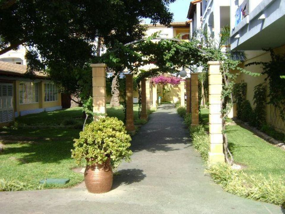 Allee zu unserem Zimmer Alcudia Garden Aparthotel
