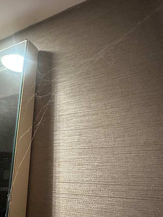 Zimmer Grand Park Lara Hotel