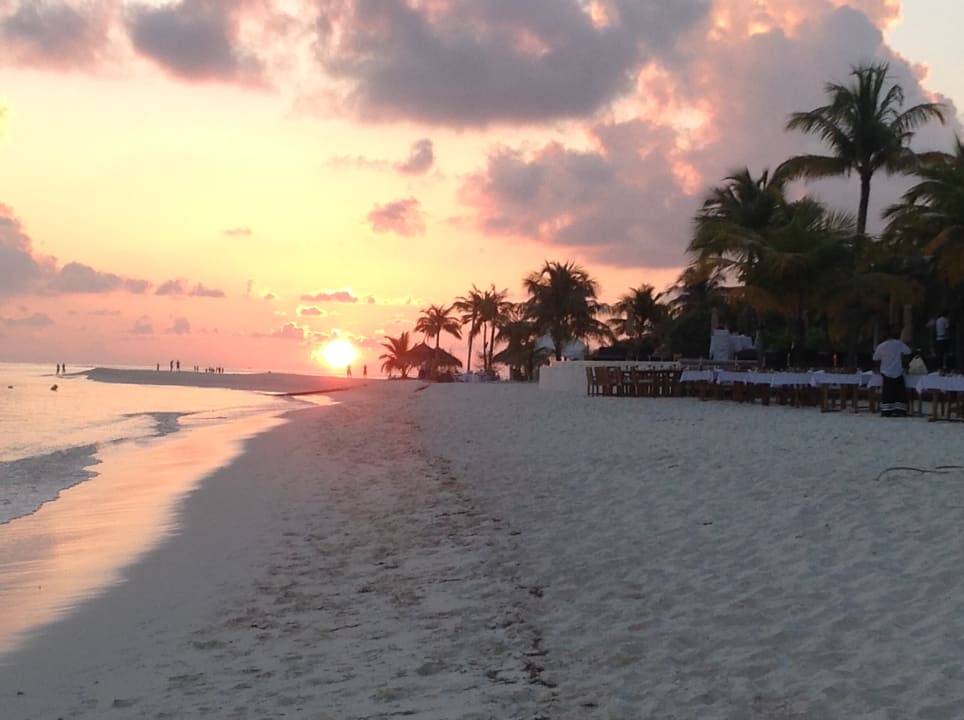 Gastro Kuredu Island Resort & Spa