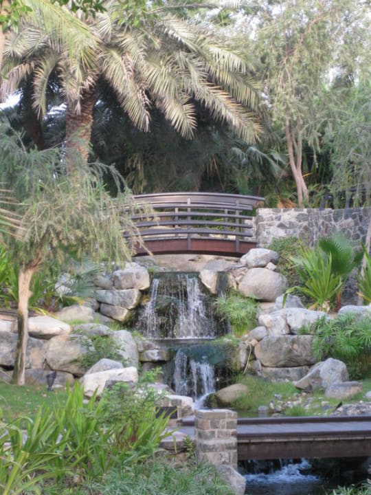 Wasserläufe JA Palm Tree Court