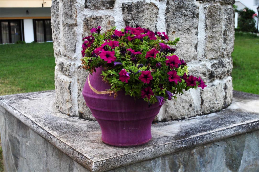 Ozdoby Hotel Chrousso Village