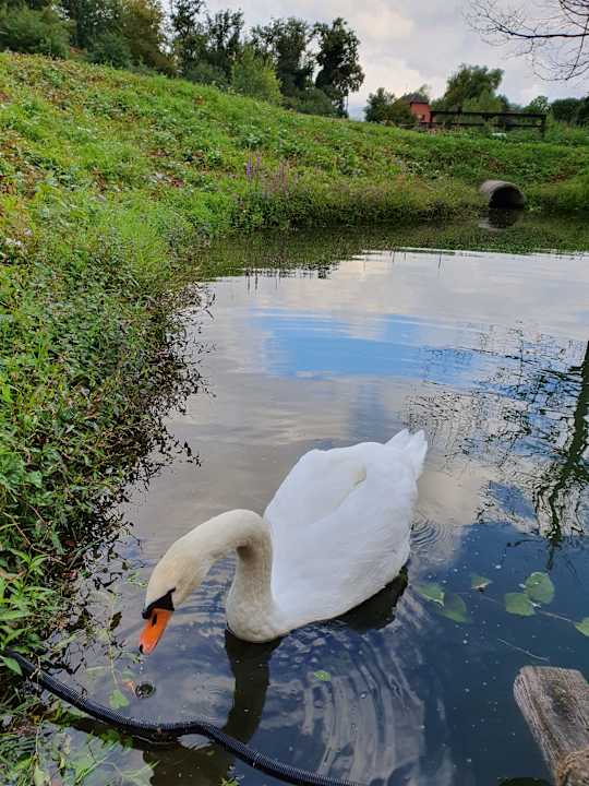 Gartenanlage Camping Les Castors - Chalets