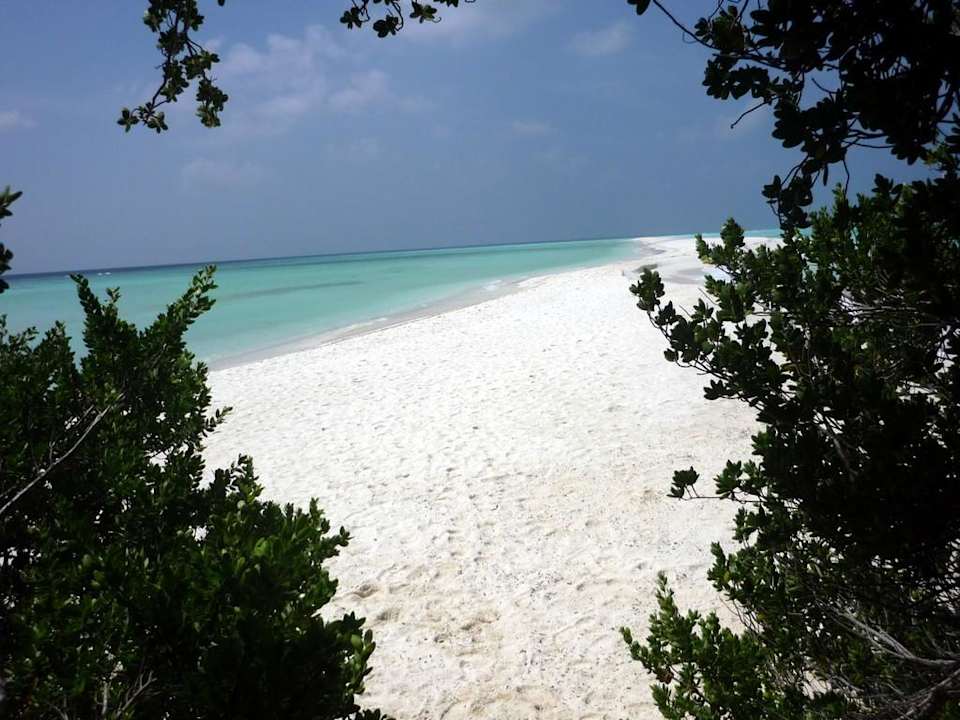 Blick auf die Sandbank Kuramathi Maldives