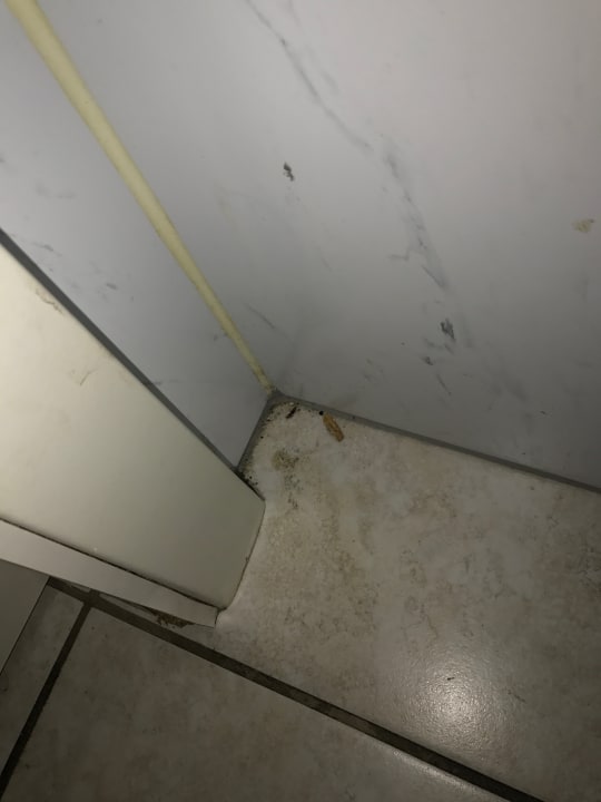 Lobby Hotel Domicil Hamburg by Golden Tulip