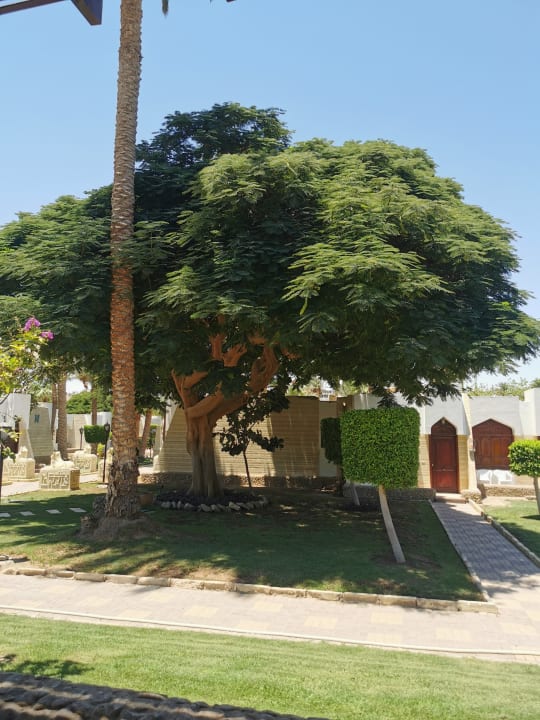 Gartenanlage Regina Resort and Aqua Park Hurghada