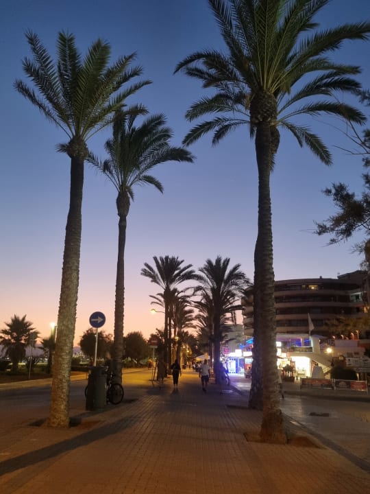 Sonstiges allsun Hotel Pil-lari Playa