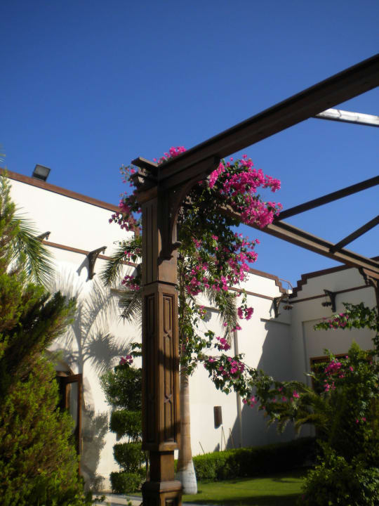 Vor dem Restaurant Stella Beach Resort & Spa Makadi Bay