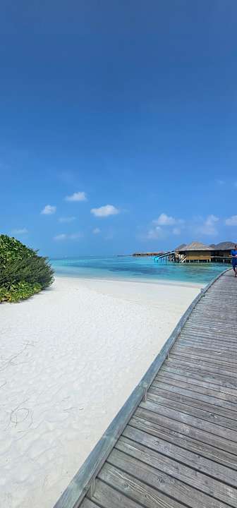 Strand Cocoon Maldives