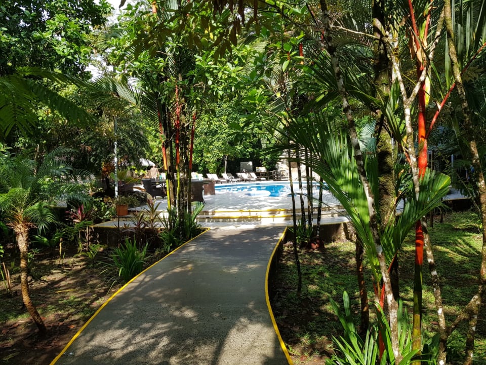 Pool Evergreen Lodge Tortuguero