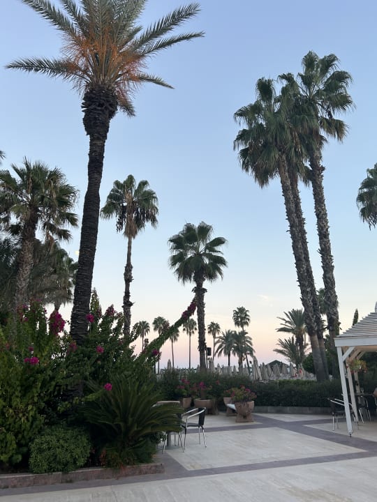 Gartenanlage Adora Hotel & Resort