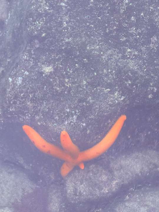 Sonstiges Hapimag Sea Garden Resort