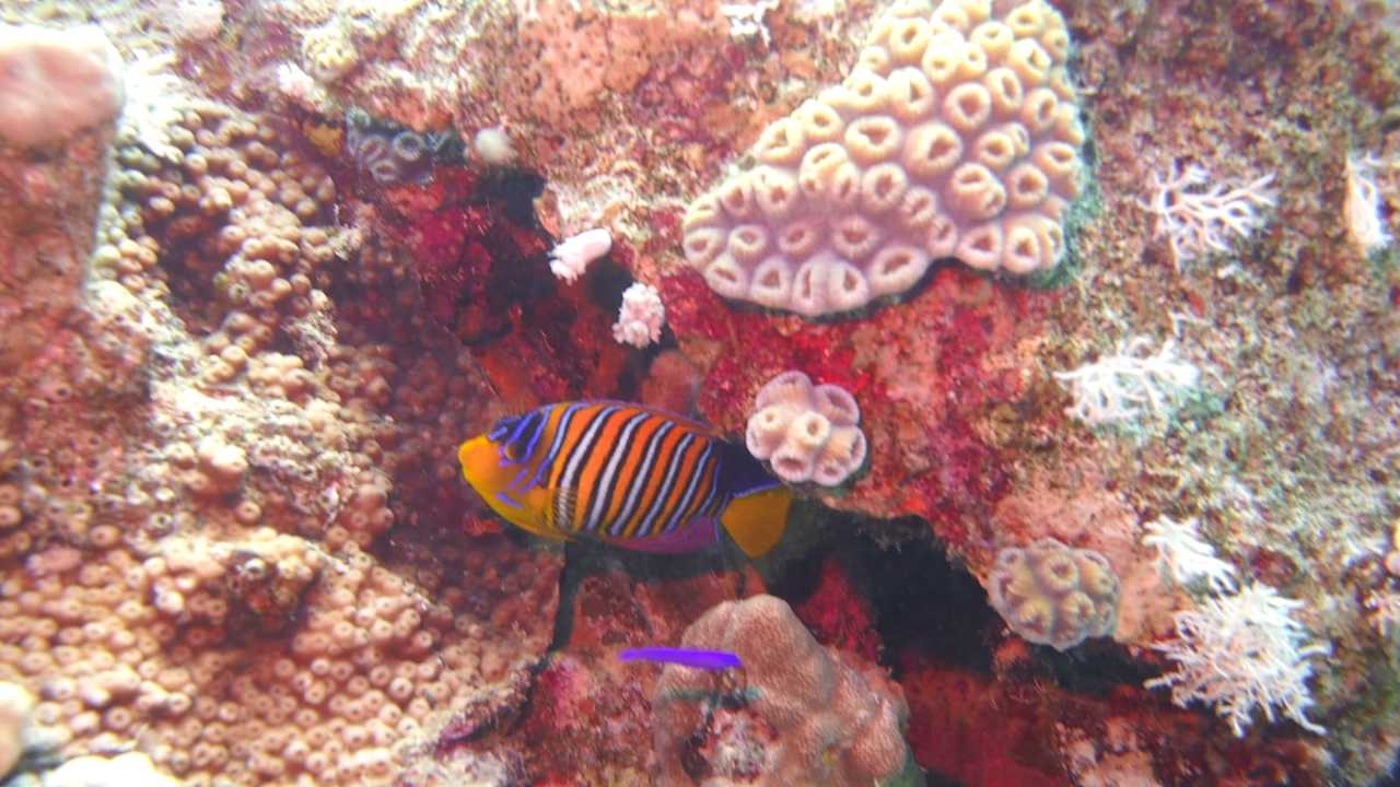 Sport & Freizeit Grand Waterworld Makadi & Family Star Makadi