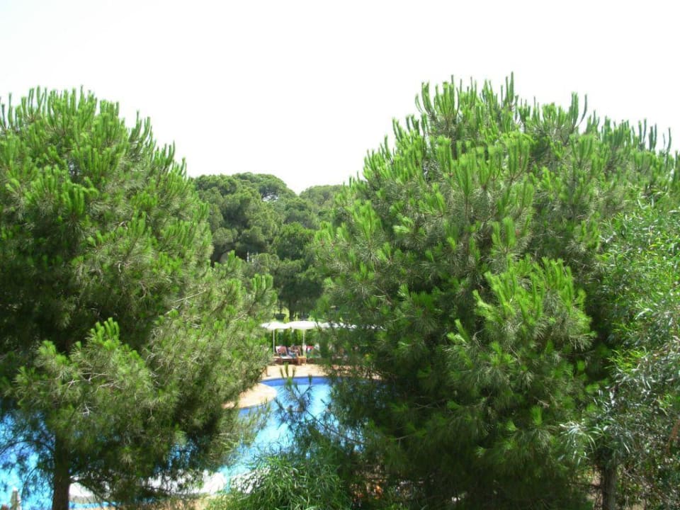 View from the second building on the relax pool Voyage Belek Golf & Spa
