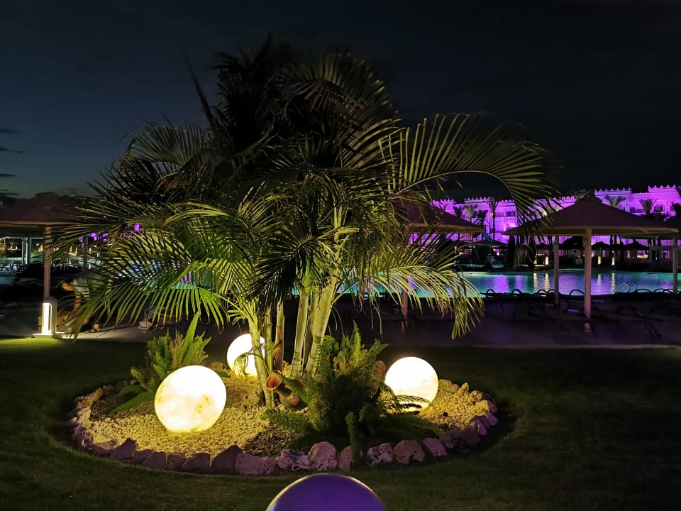 Gartenanlage Pickalbatros Palace Resort