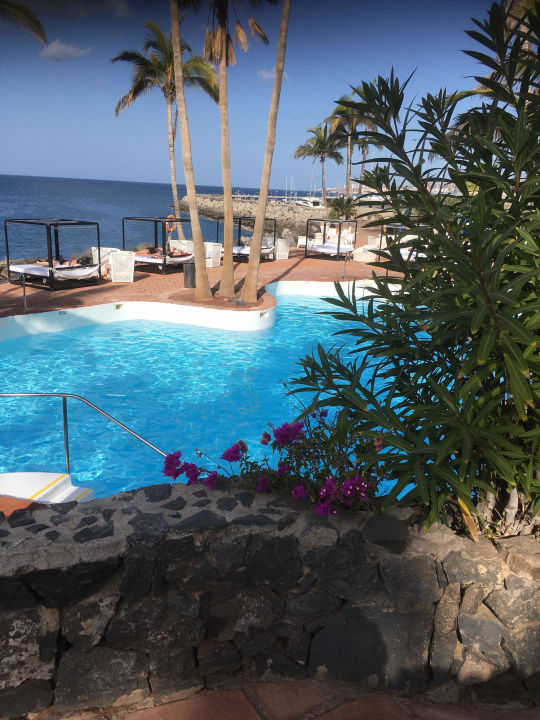 Pool Dreams Jardín Tropical