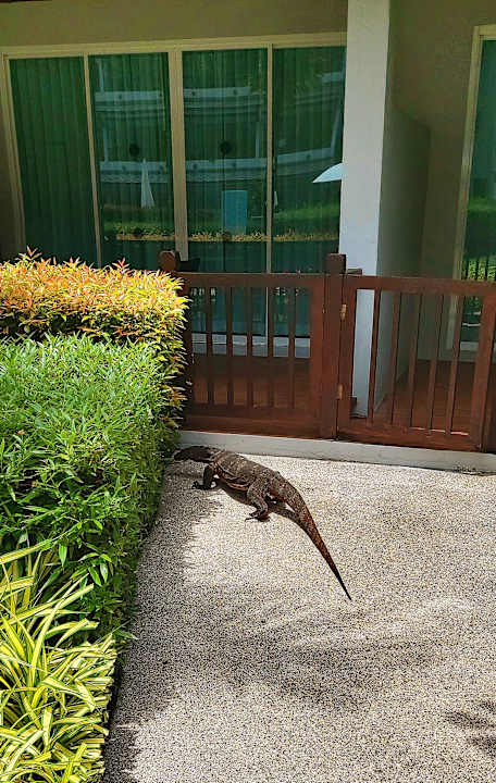 Gartenanlage SENTIDO Khao Lak