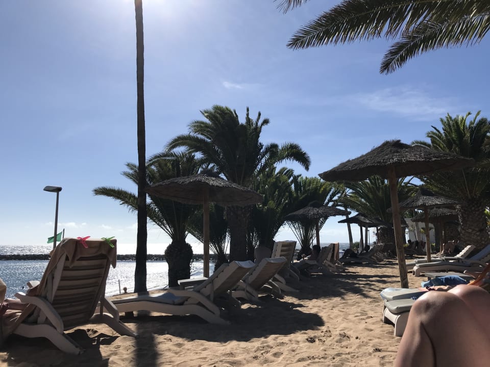 Gartenanlage Hotel Riu Palace Tenerife