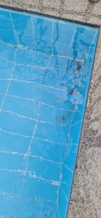 Pool Hotel Club Tess