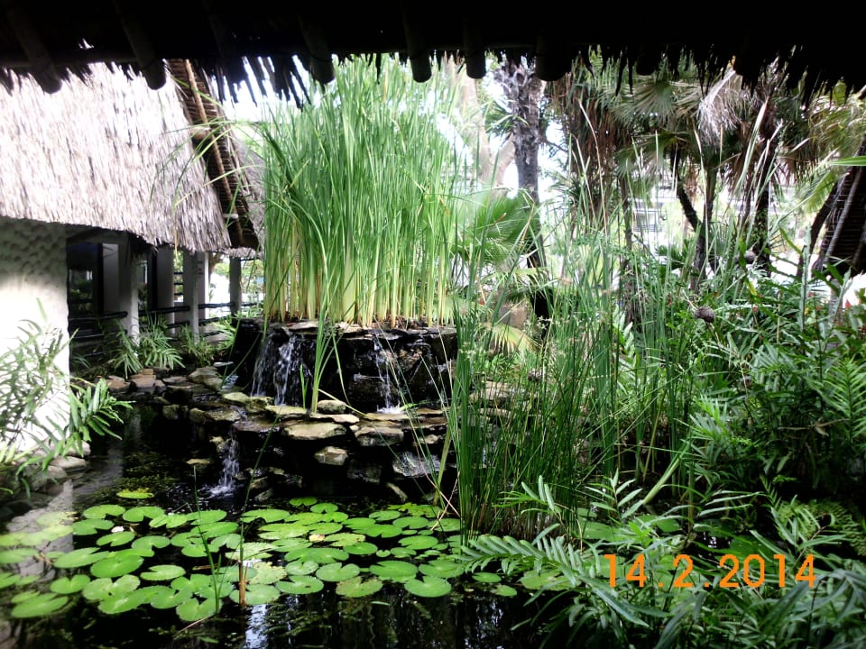 Teich und Wasserfall  Hotel Southern Palms Beach Resort