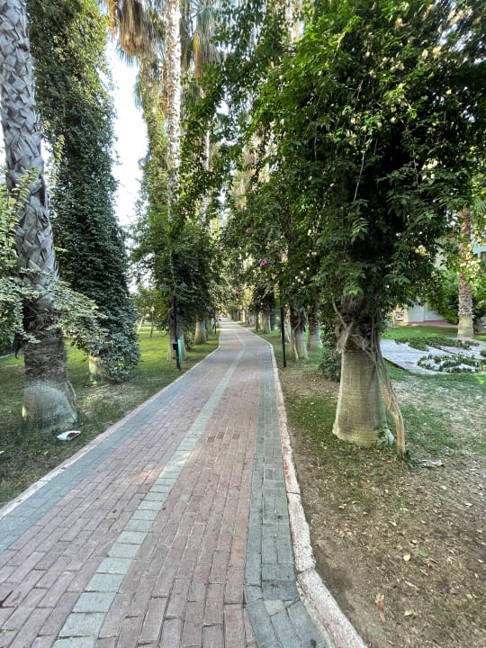 Gartenanlage Hotel Gardenia Beach