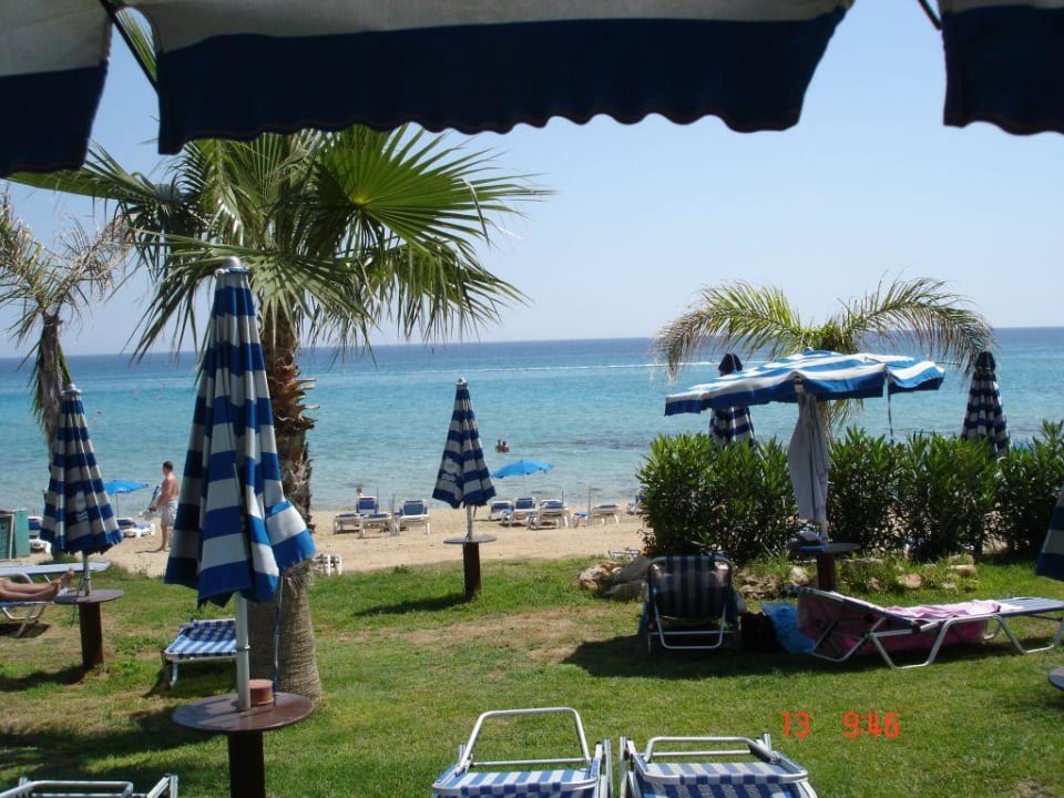 Liegewiese Constantinos The Great Beach Hotel