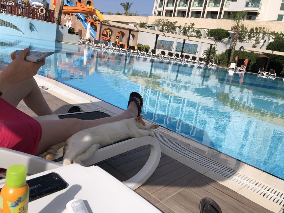 Pool Aydinbey Kings Palace & Spa