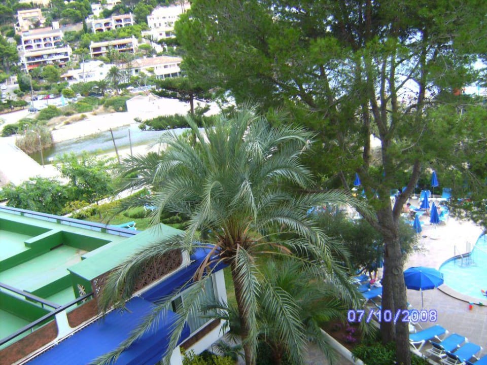 Blick auf Liegewiese hinter den Bäumen Universal Hotel Castell Royal