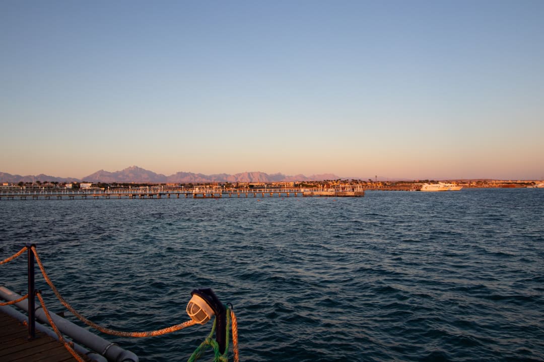 Ausblick Desert Rose