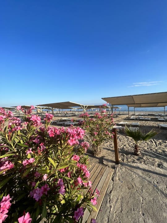 Strand Club Turtas Beach Hotel